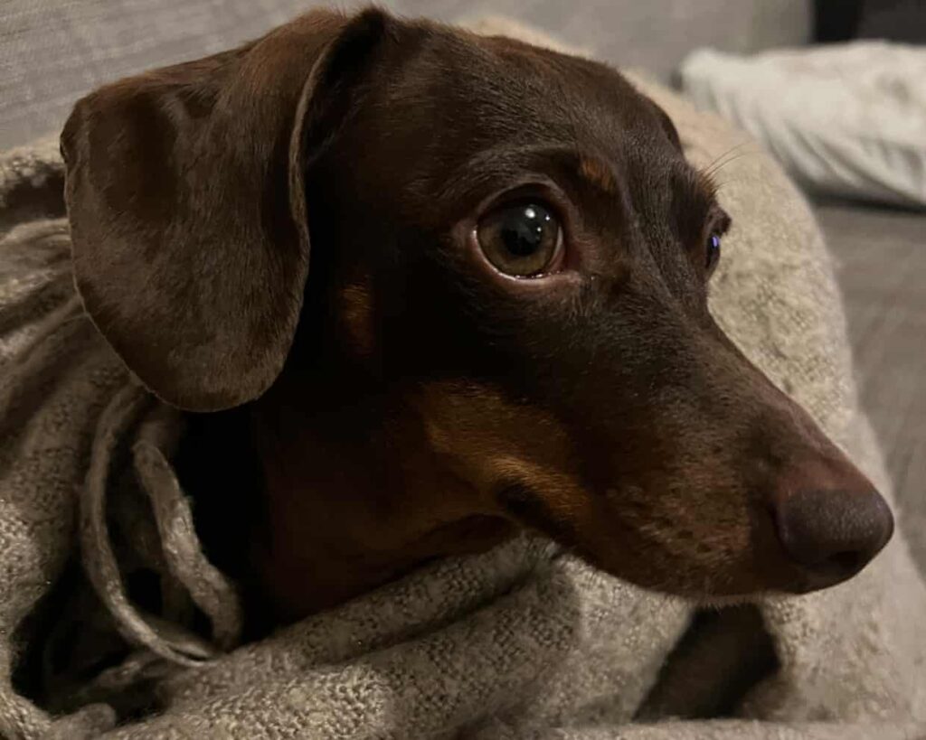 Remembering Icons A Tribute Quiz to 2023's Lost Legends THENEVADAVOICE